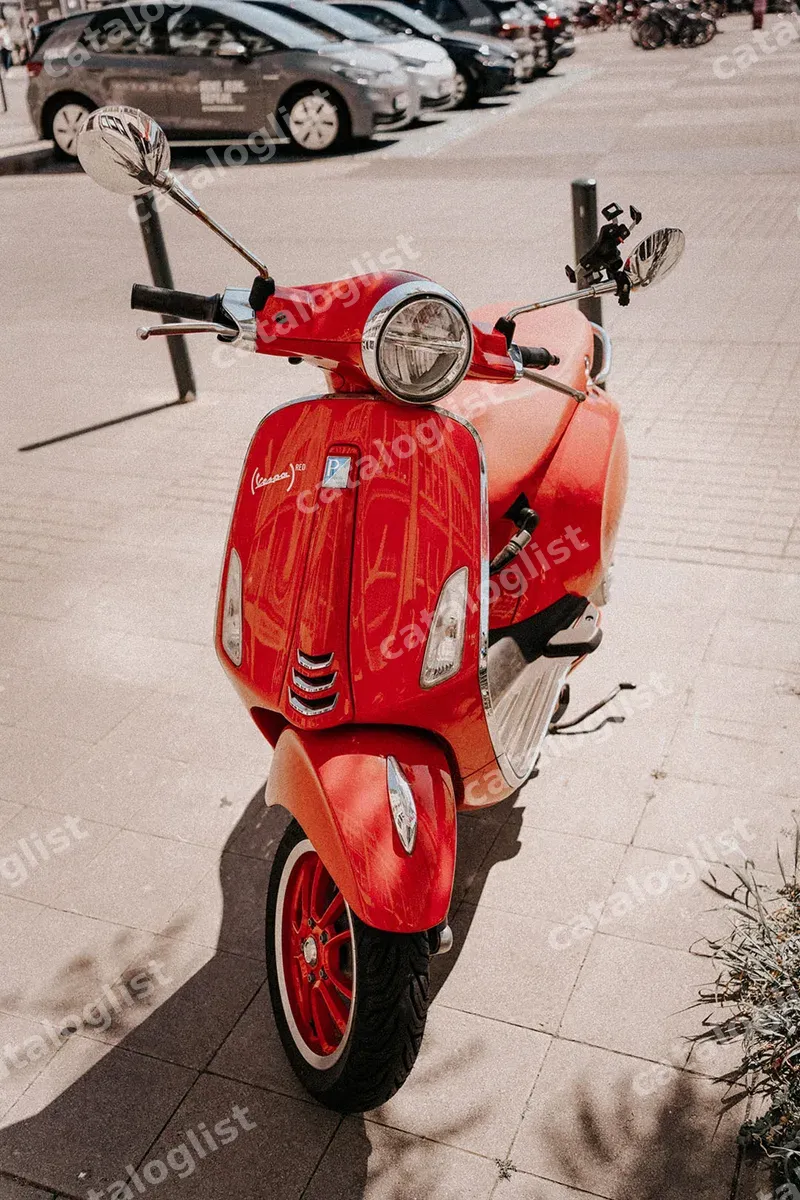 Fuel-powered pedal motorcycle